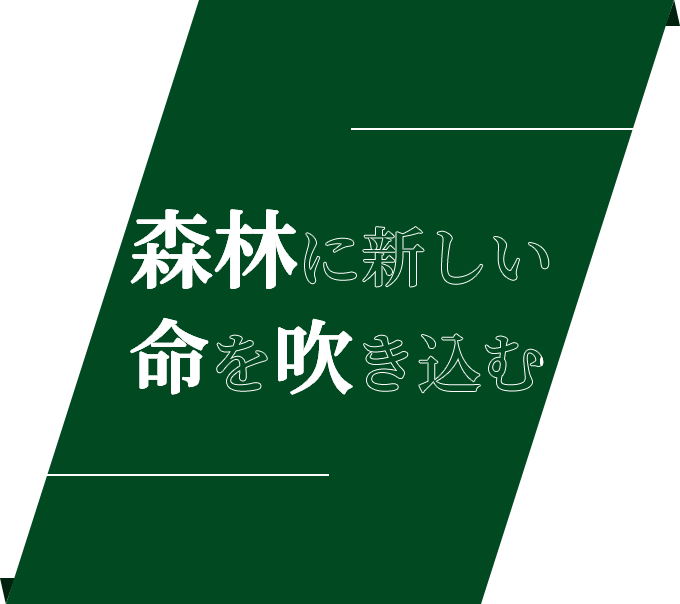 森林に新しい命を吹き込む